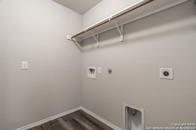 2931 Daisy Meadow, New Braunfels, Texas image 25