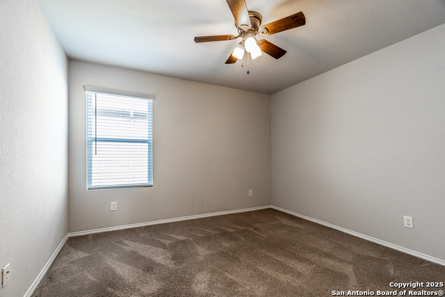 2931 Daisy Meadow, New Braunfels, Texas image 26