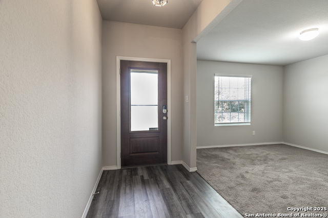 2931 Daisy Meadow, New Braunfels, Texas image 3