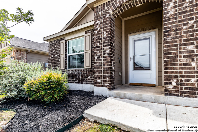 2931 Daisy Meadow, New Braunfels, Texas image 37