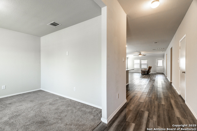 2931 Daisy Meadow, New Braunfels, Texas image 4