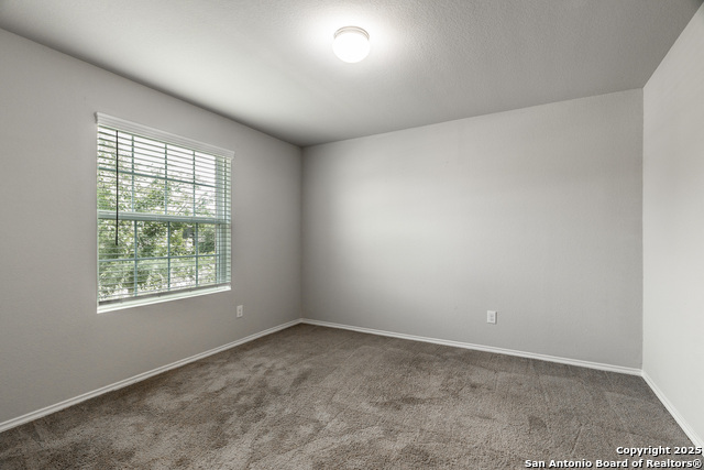 2931 Daisy Meadow, New Braunfels, Texas image 5