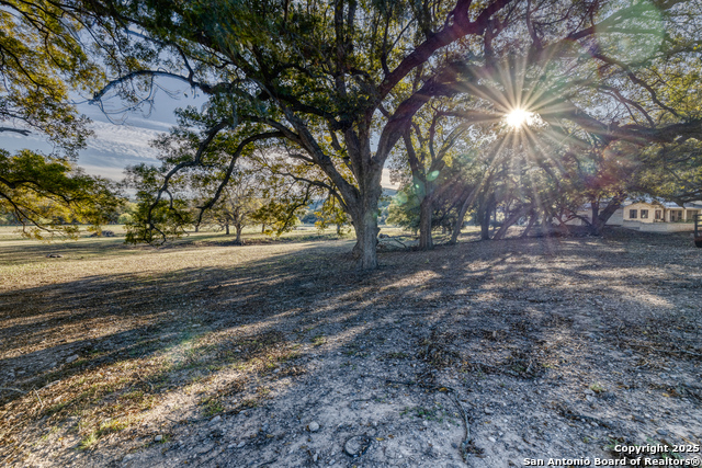 498 Camino Del Rancho, ConCan, Texas image 23