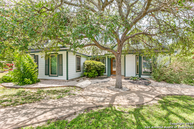605 Houston, Castroville, Texas image 3