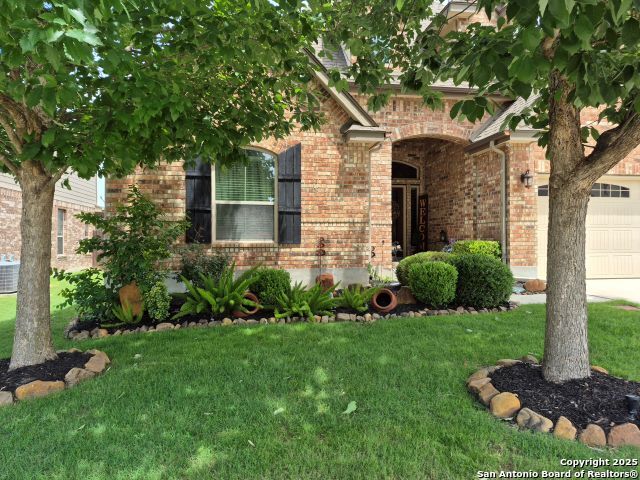 625 Padova, Cibolo, Texas image 2
