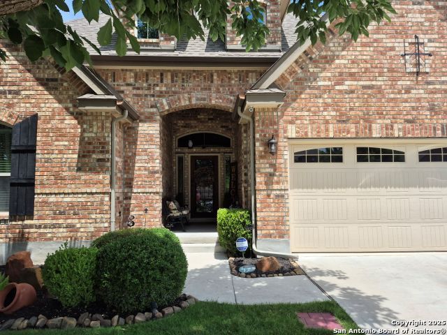 625 Padova, Cibolo, Texas image 3