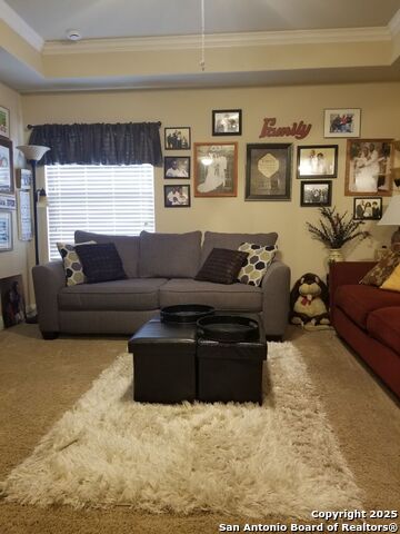 625 Padova, Cibolo, Texas image 31