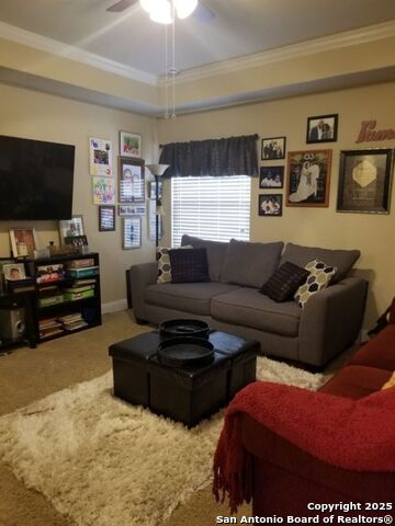625 Padova, Cibolo, Texas image 32