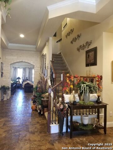 625 Padova, Cibolo, Texas image 5
