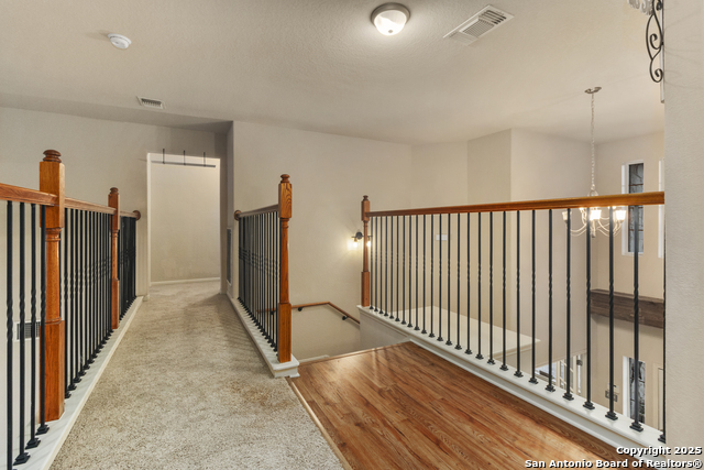 9223 Saucedo, Helotes, Texas image 17