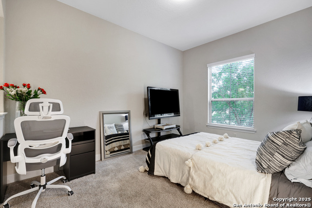 8202 Garden Arbor, Garden Ridge, Texas image 37