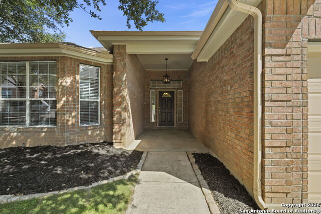 665 La Bahia Loop, New Braunfels, Texas image 5