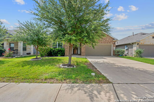 1944 Heather Glen, New Braunfels, Texas image 2