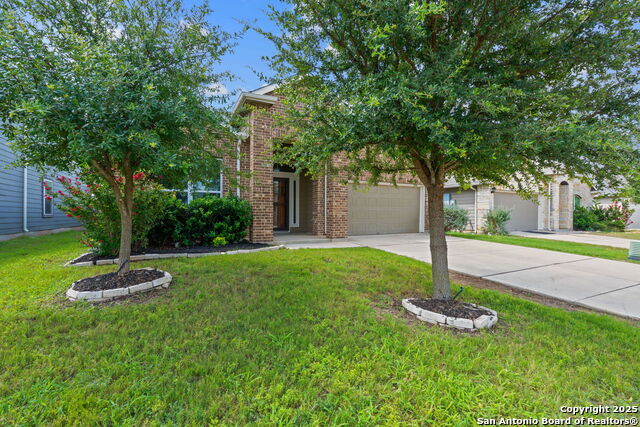 1944 Heather Glen, New Braunfels, Texas image 3