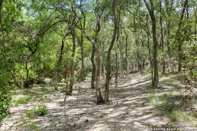 6160 Fm 2538, Marion, Texas image 39