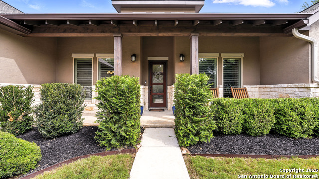 166 Charon Point, Spring Branch, Texas image 3