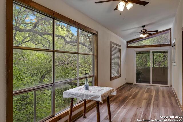 18111 Lake Shore, Helotes, Texas image 10