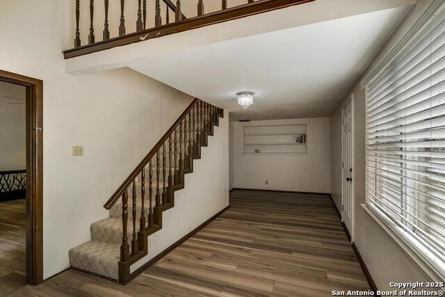 18111 Lake Shore, Helotes, Texas image 14