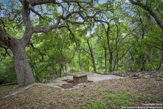 18111 Lake Shore, Helotes, Texas image 19