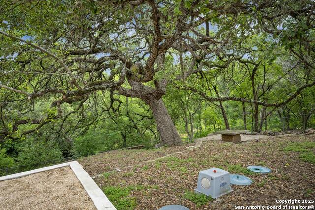 18111 Lake Shore, Helotes, Texas image 20