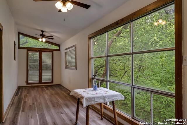 18111 Lake Shore, Helotes, Texas image 9