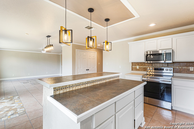 9607 Copper Spg, Converse, Texas image 9