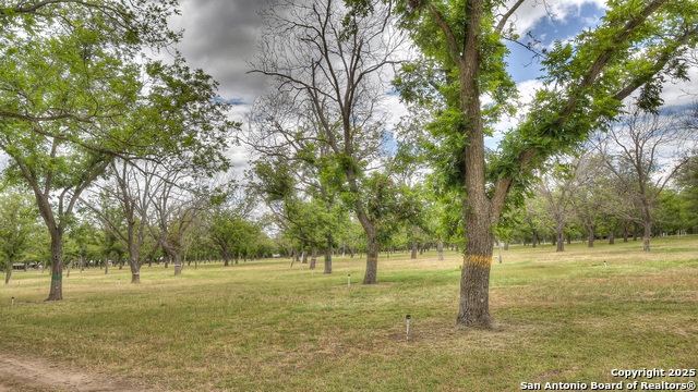 90 Johnny Seibert Ln, Leakey, Texas image 5