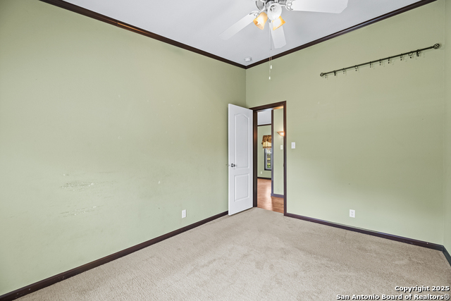 1305 5th, Floresville, Texas image 19