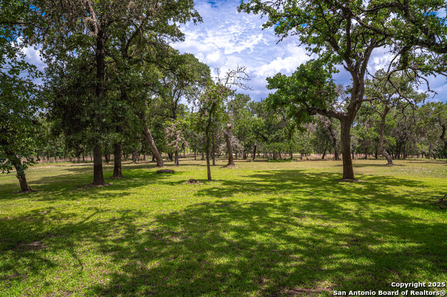 2981 Vivroux Ranch Road, Seguin, Texas image 14