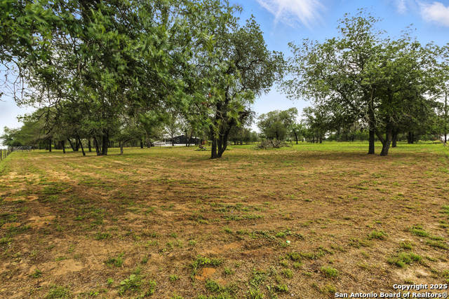 125 County Road 6814, Natalia, Texas image 3