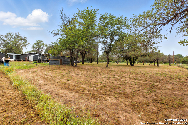 125 County Road 6814, Natalia, Texas image 6