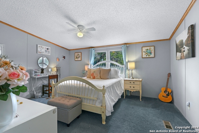 2681 Crazyhorse Pass, Austin, Texas image 17