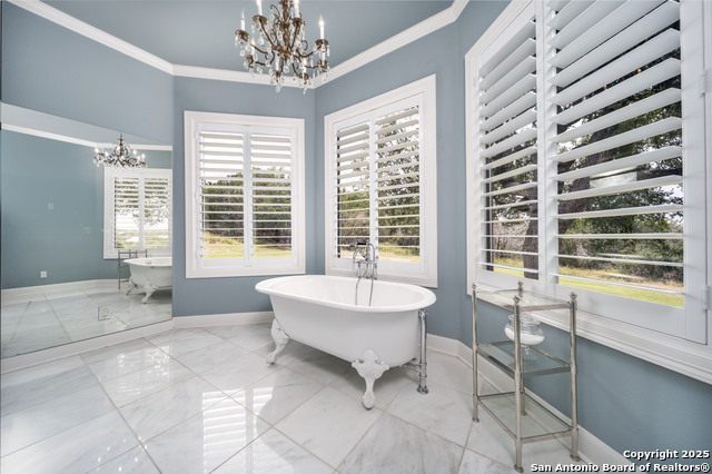 229 Greystone, Boerne, Texas image 46