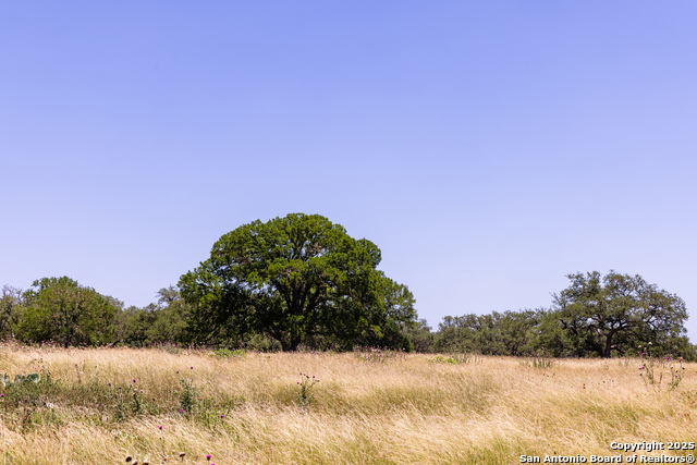 190 Jones, Kerrville, Texas image 3