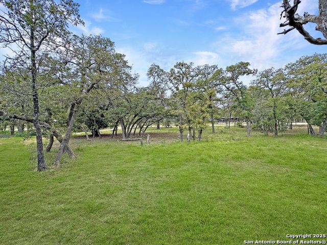 115 Dinks, Seguin, Texas image 21