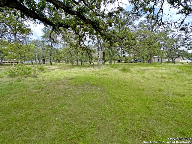 115 Dinks, Seguin, Texas image 22