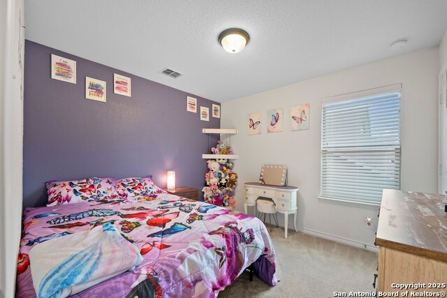 412 Landmark Oak, Cibolo, Texas image 26