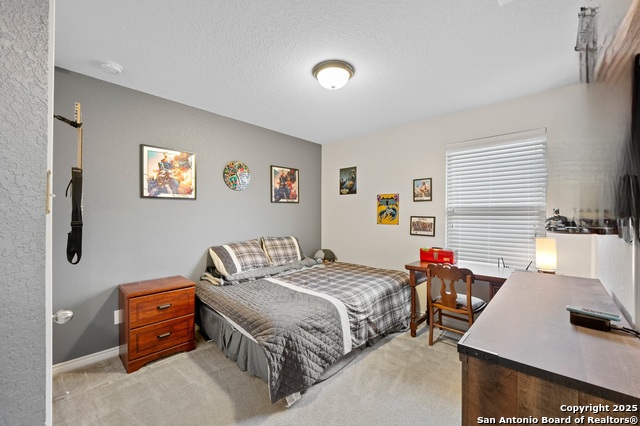 412 Landmark Oak, Cibolo, Texas image 27