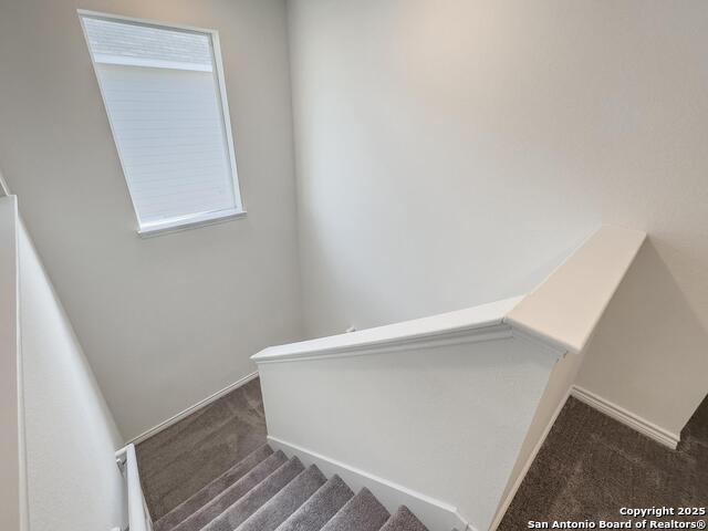 440 Sunrise Park, Seguin, Texas image 16