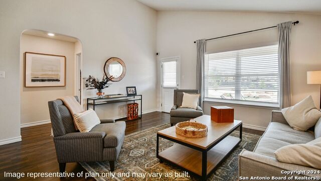 271 Squacco Heron, San Antonio, Texas image 10