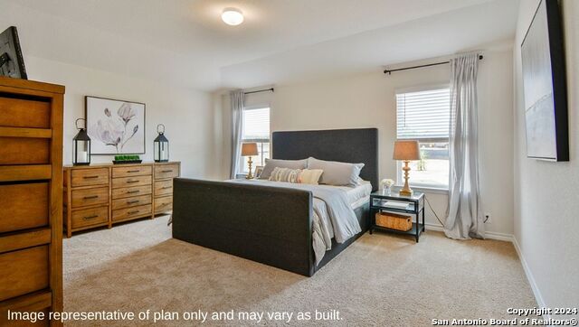 271 Squacco Heron, San Antonio, Texas image 12