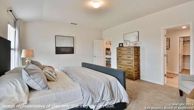 271 Squacco Heron, San Antonio, Texas image 14