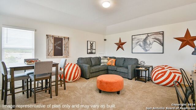 271 Squacco Heron, San Antonio, Texas image 16