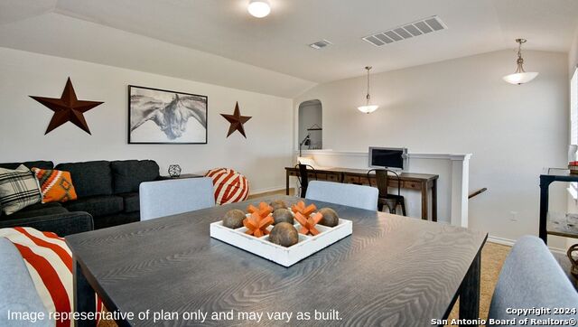 271 Squacco Heron, San Antonio, Texas image 17