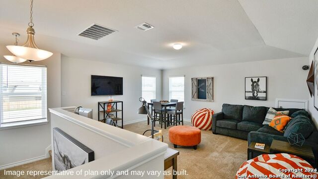 271 Squacco Heron, San Antonio, Texas image 18