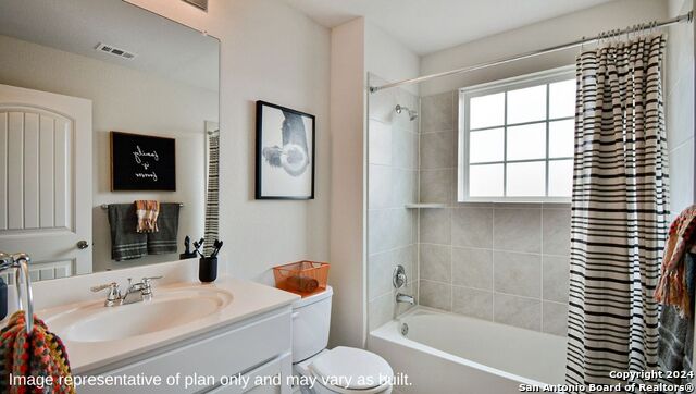 271 Squacco Heron, San Antonio, Texas image 19