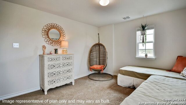 271 Squacco Heron, San Antonio, Texas image 21