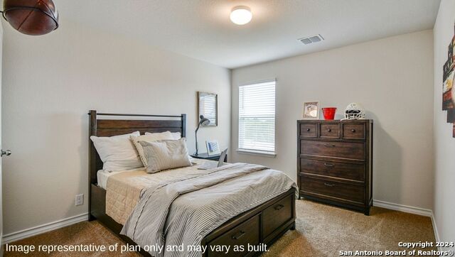 271 Squacco Heron, San Antonio, Texas image 5