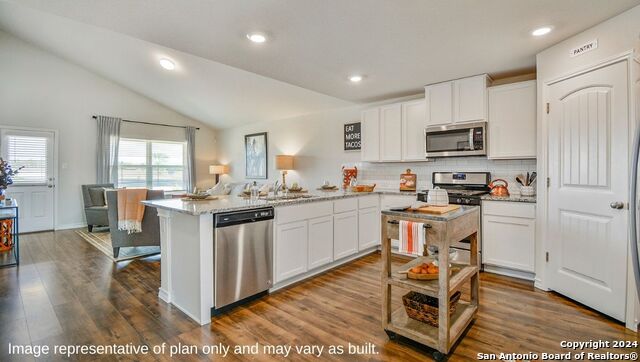 271 Squacco Heron, San Antonio, Texas image 7