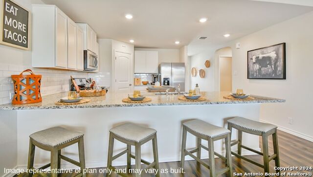 271 Squacco Heron, San Antonio, Texas image 9